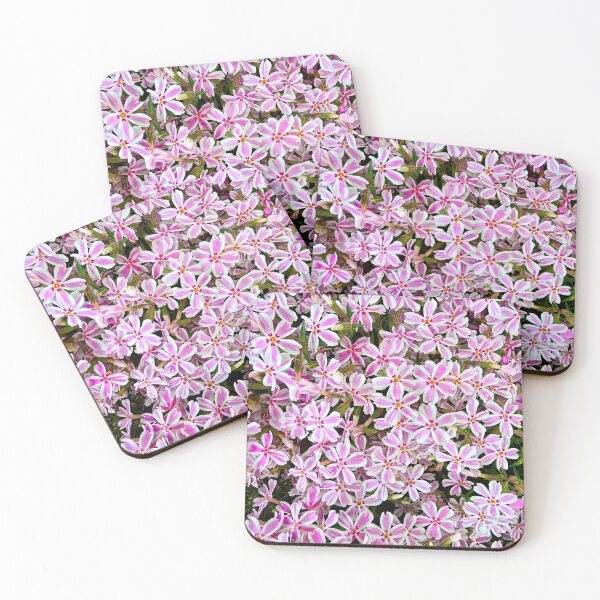 Item preview, Bunch of Candy Stripe Phlox designed and sold by bjtomiko.