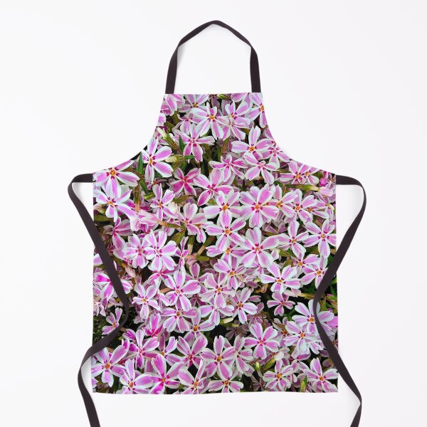Item preview, Bunch of Candy Stripe Phlox designed and sold by bjtomiko.