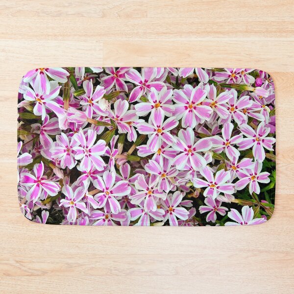 Item preview, Bunch of Candy Stripe Phlox designed and sold by bjtomiko.
