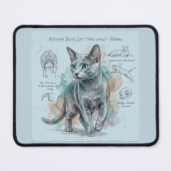 Item preview, Russian Blue Cat Anatomical Study Print designed and sold by Paolo-Bandal.