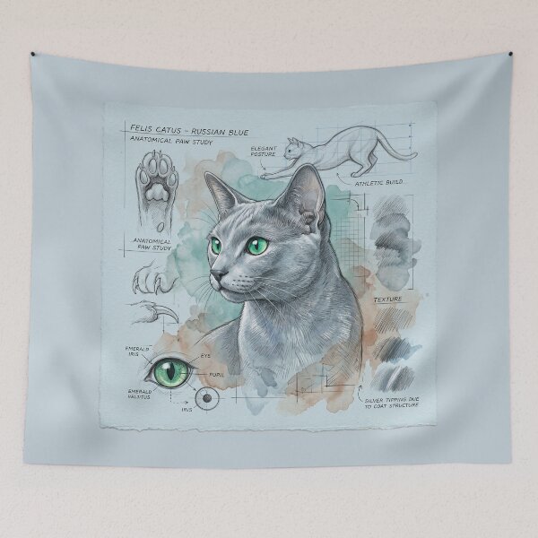 Item preview, Russian Blue Cat Anatomical Study Print designed and sold by Paolo-Bandal.