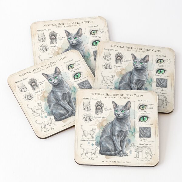 Item preview, Russian Blue Cat Anatomical Study Print designed and sold by Paolo-Bandal.