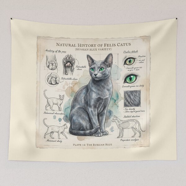 Item preview, Russian Blue Cat Anatomical Study Print designed and sold by Paolo-Bandal.