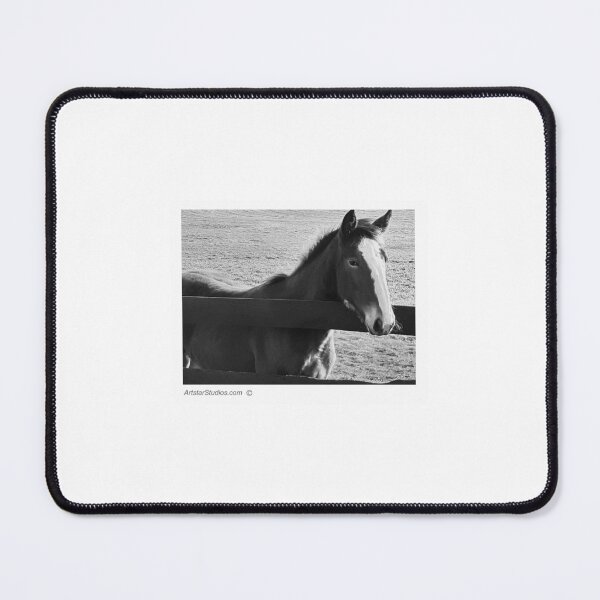 Item preview, Horse scratching designed and sold by ArtstarStudios.