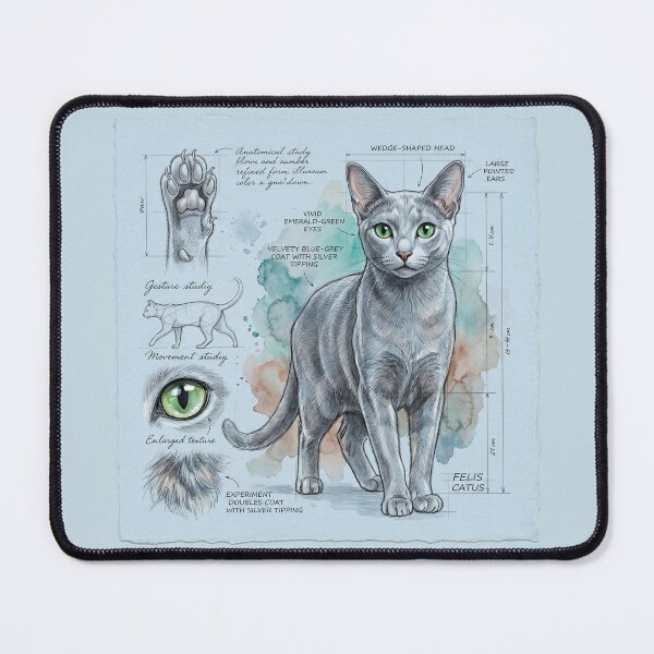 Item preview, Russian Blue Cat Anatomical Study Print designed and sold by Paolo-Bandal.