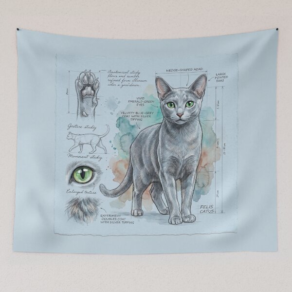 Item preview, Russian Blue Cat Anatomical Study Print designed and sold by Paolo-Bandal.