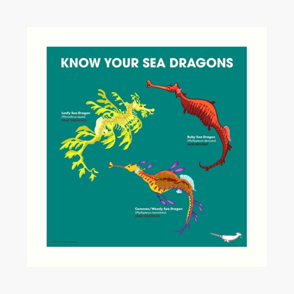 Connaissez vos dragons de mer Impression artistique