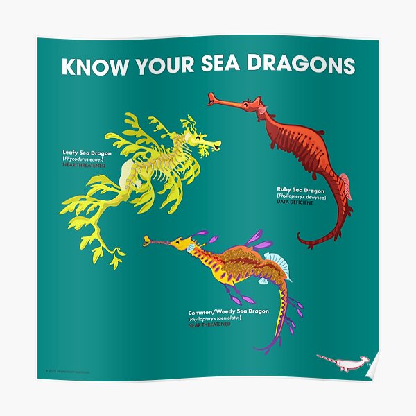 Know Your Sea Dragons Poster