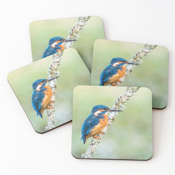 Item preview, kingfisher designed and sold by Karen  O'Reilly.