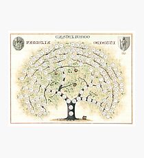 Original Genetti Family Tree Photographic Print