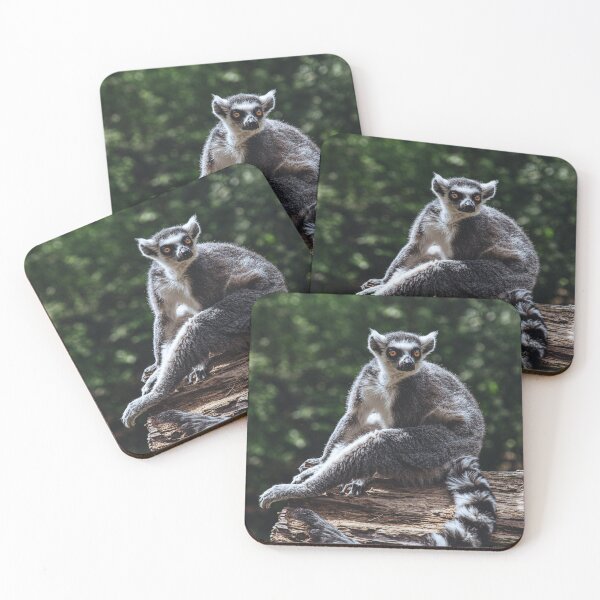 Item preview, Cinematic Lemur Wildlife Print designed and sold by Mutezone.