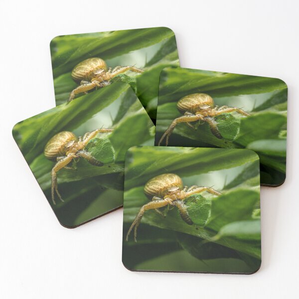 Item preview, Golden Crab Spider Catching a Caterpillar — Macro Wildlife Portrait designed and sold by Rabee Khalil Photography.