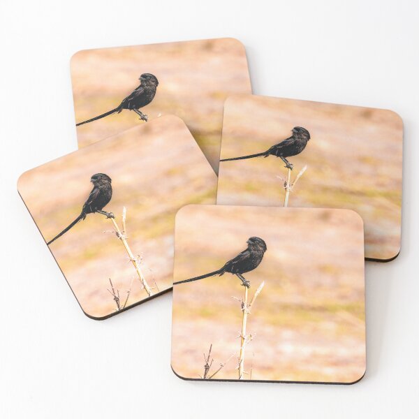 Item preview, Magpie Shrike designed and sold by Kay Brewer.