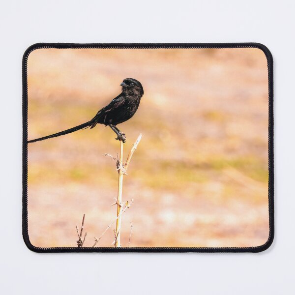 Item preview, Magpie Shrike designed and sold by Kay Brewer.