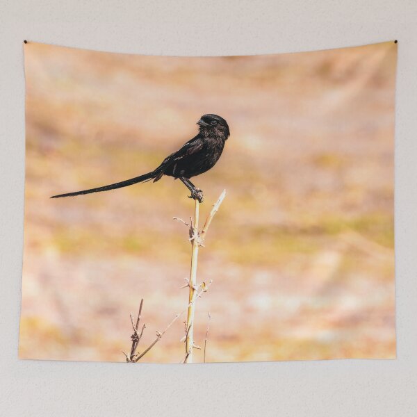 Item preview, Magpie Shrike designed and sold by Kay Brewer.