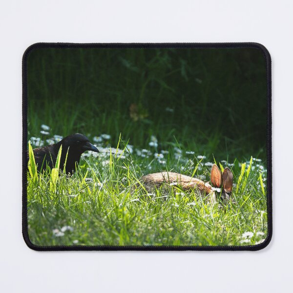 Item preview, Crow and bunny in sunlight grass designed and sold by lisavonbiela.