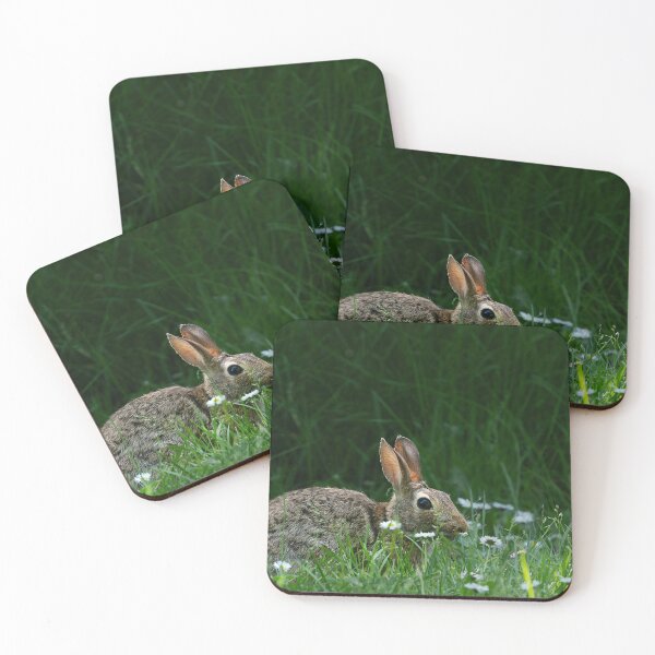 Item preview, Bunny amidst sunlit grass and daisies designed and sold by lisavonbiela.