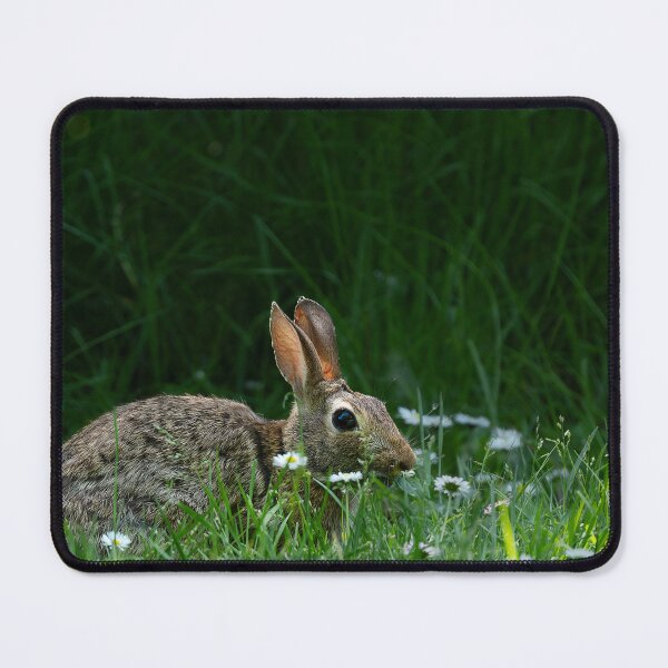 Item preview, Bunny amidst sunlit grass and daisies designed and sold by lisavonbiela.