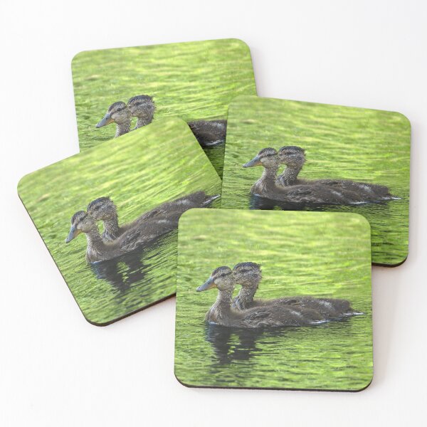 Item preview, Pair of baby Mallard Ducks with eye strips aligned designed and sold by lisavonbiela.