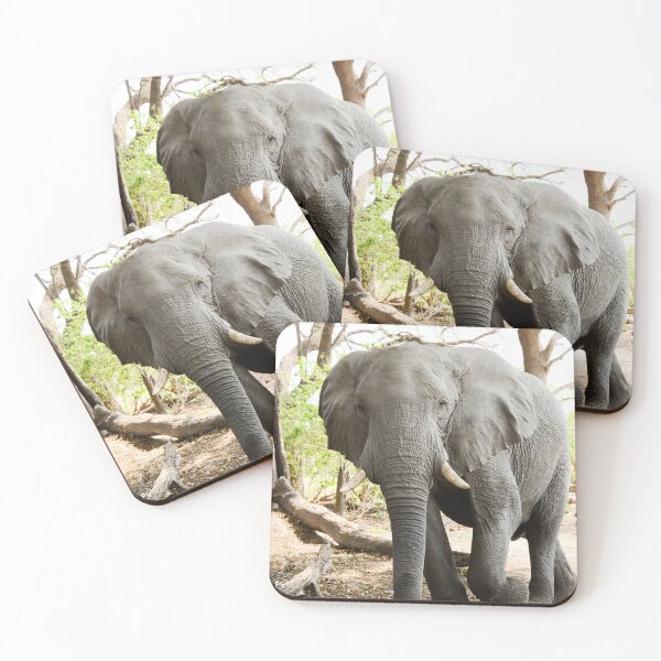 Item preview, Elephant passing by you. designed and sold by Tom Wurl.