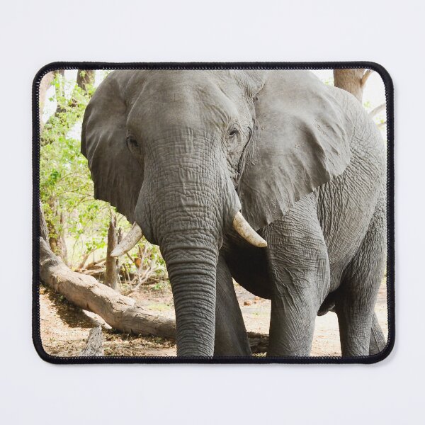 Item preview, Elephant passing by you. designed and sold by Tom Wurl.