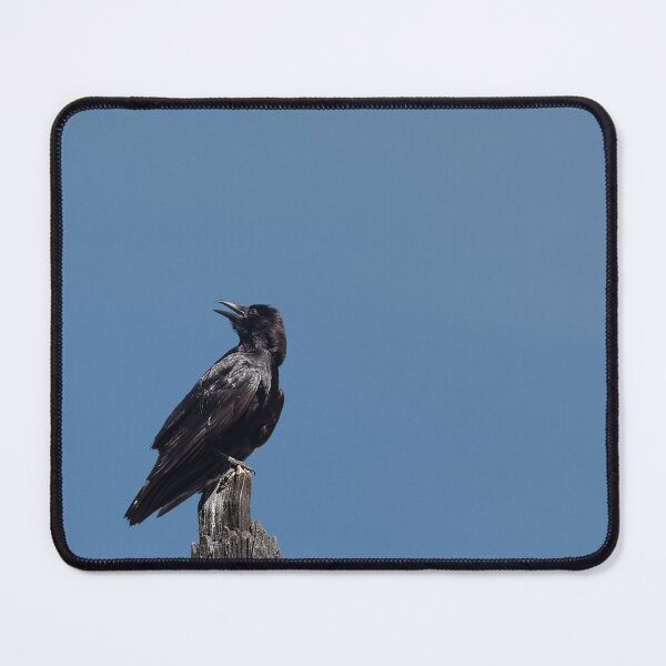 Item preview, American Crow perched and panting on tall tree snag designed and sold by lisavonbiela.