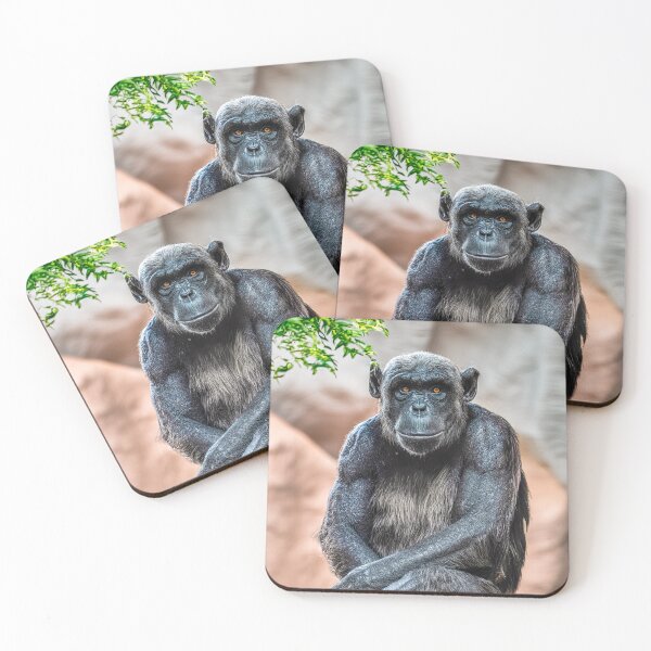 Item preview, sitting chimp designed and sold by Karen  O'Reilly.