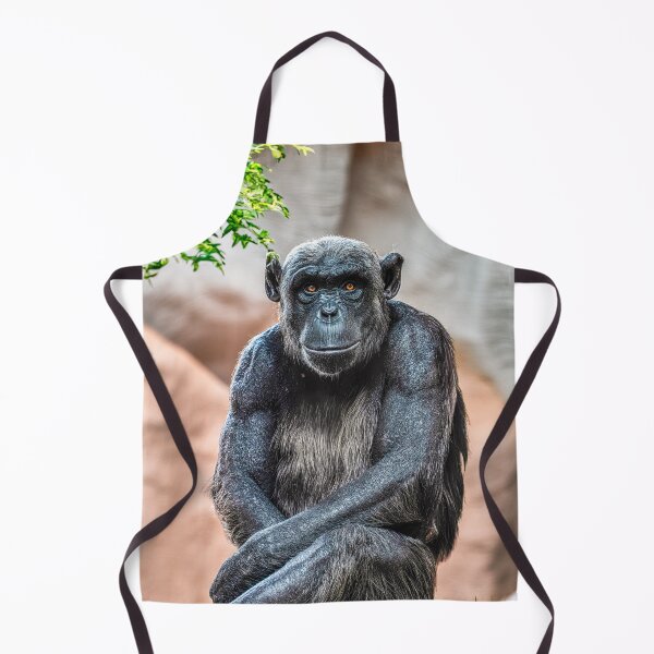Item preview, sitting chimp designed and sold by Karen  O'Reilly.