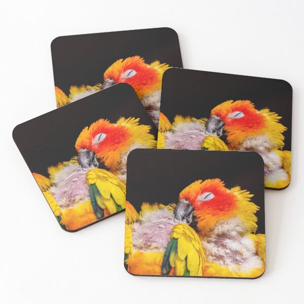 Item preview, Cursed Tropical Bird Aesthetic designed and sold by Mutezone.