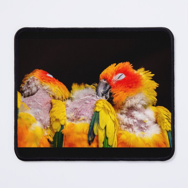 Item preview, Cursed Tropical Bird Aesthetic designed and sold by Mutezone.