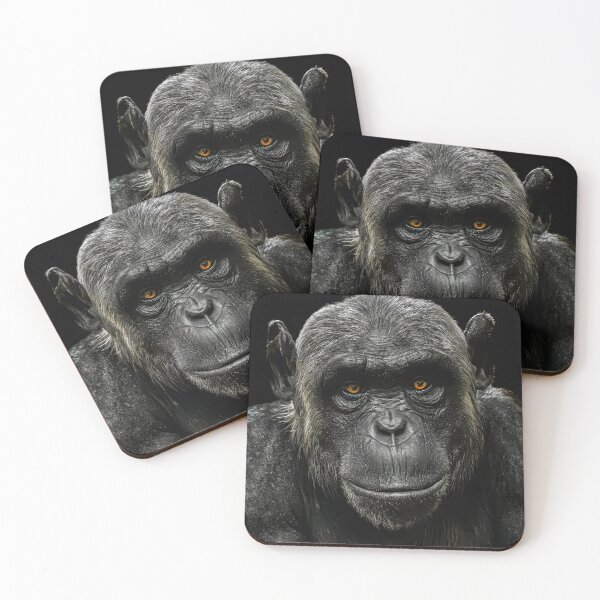 Item preview, chimpanzee designed and sold by Karen  O'Reilly.