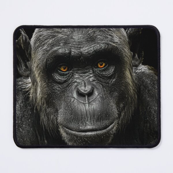 Item preview, chimpanzee designed and sold by Karen  O'Reilly.