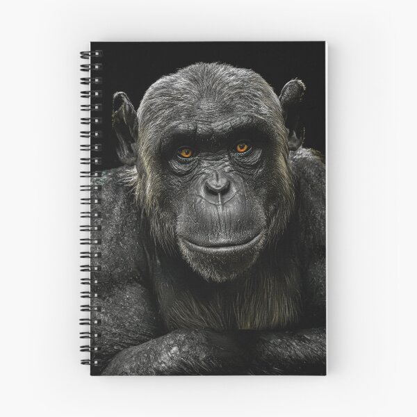 Item preview, chimpanzee designed and sold by Karen  O'Reilly.
