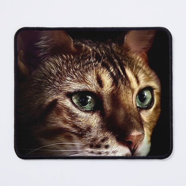 Item preview, Beautiful Cat designed and sold by Iansstickershop.