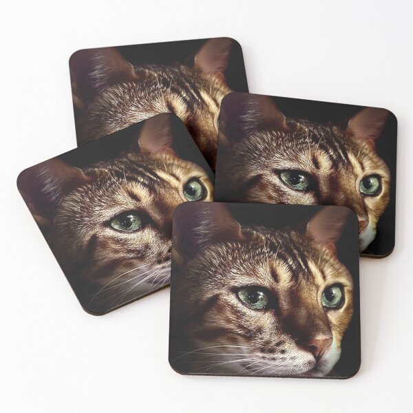 Item preview, Beautiful Cat  designed and sold by Iansstickershop.