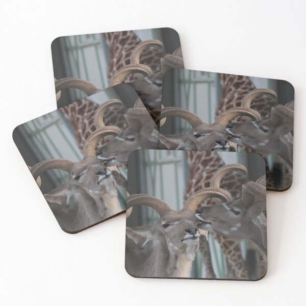 Item preview, Kudu at ARTIS Zoo designed and sold by yuppexmiku.