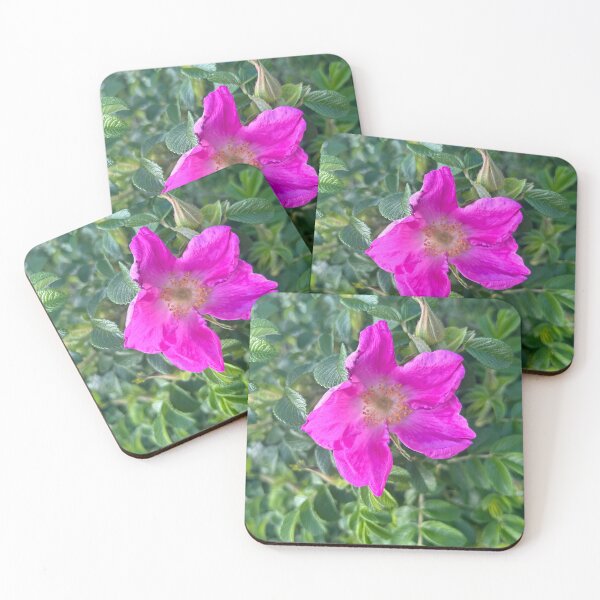Item preview, Beach roses designed and sold by Lauracolleen3.