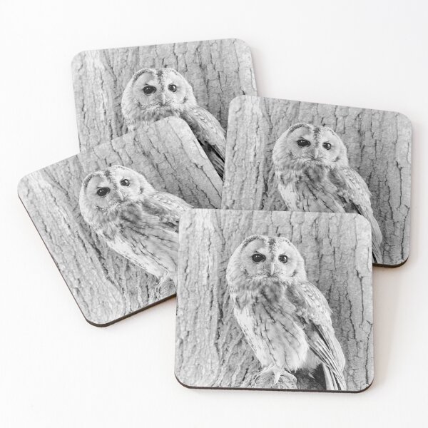 Item preview, Owl designed and sold by Karen  O'Reilly.
