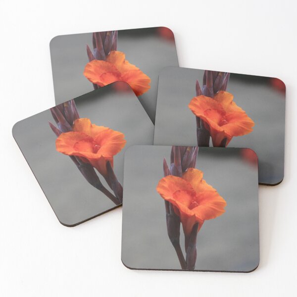 Item preview, Canna Lily designed and sold by yuppexmiku.