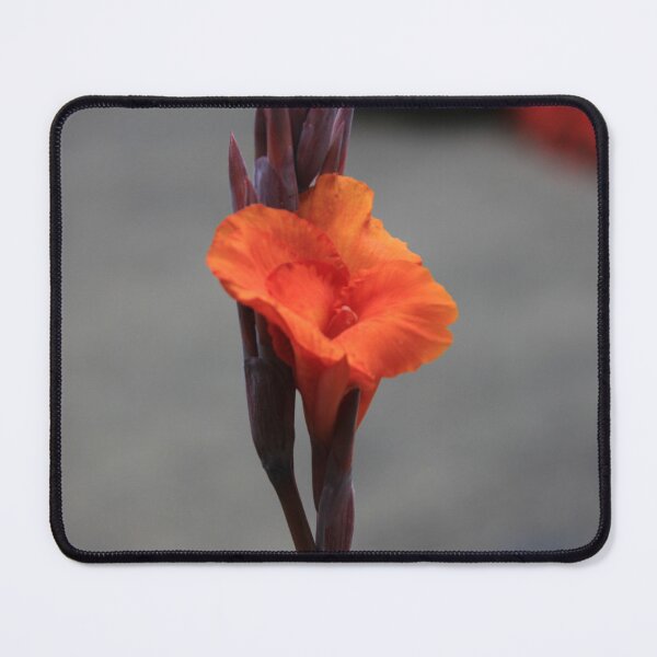 Item preview, Canna Lily designed and sold by yuppexmiku.