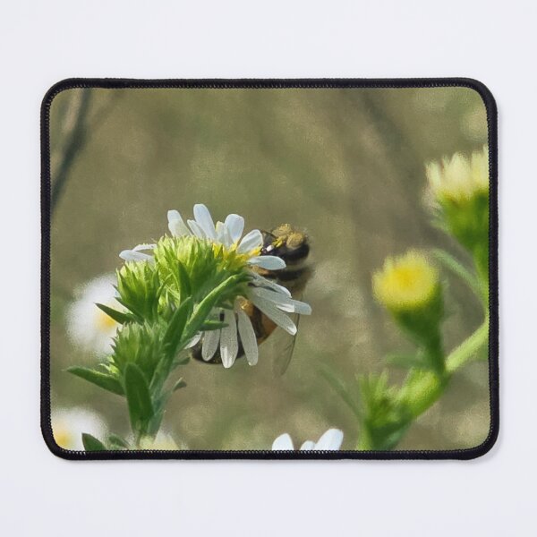 Item preview, Among the Asters No. 2 designed and sold by Feral Vibes.