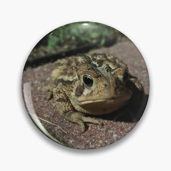 Item preview, Toad designed and sold by Auj-8.