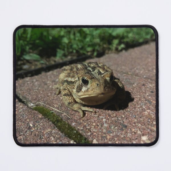 Item preview, Toad designed and sold by Auj-8.