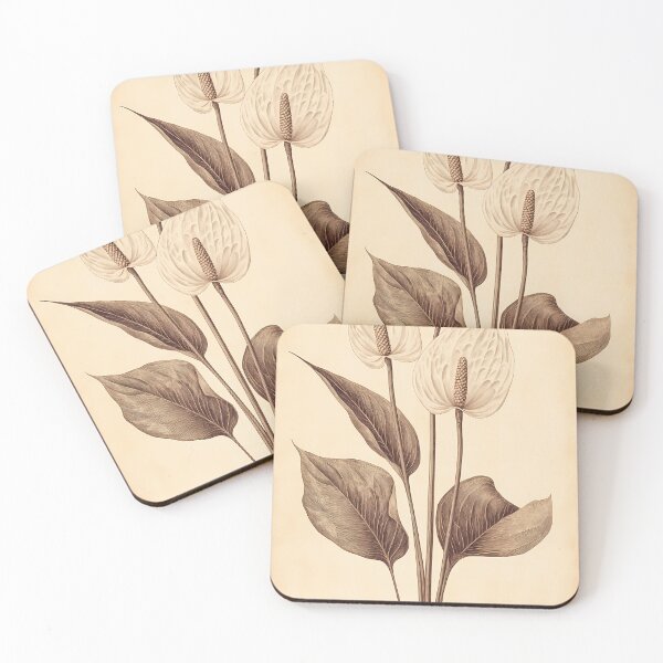 Item preview, Antúrio — Gravura Botânica Vintage | Atlantic Forest designed and sold by AtlanticForest.