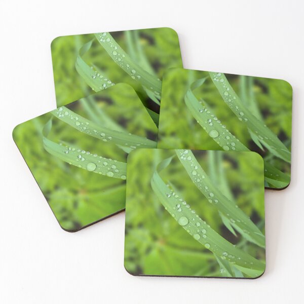 Item preview, Montreal Morning Dew designed and sold by R en Fleurs.