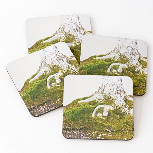 Item preview, Bonsai Root designed and sold by 27Rose Photo.