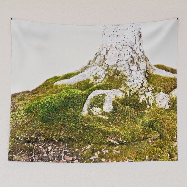 Item preview, Bonsai Root designed and sold by 27Rose Photo.