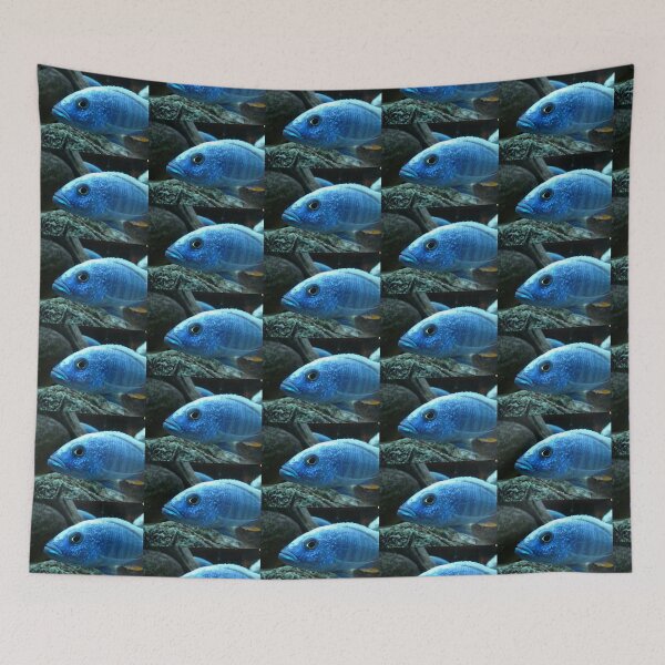 Item preview, One Fish Blue Fish - original photograph by mjh, c. 2007 designed and sold by eustacia42.