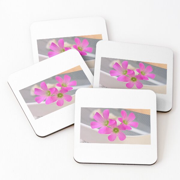 Item preview, Pink clover flower in white basket designed and sold by RaisingAWildling.