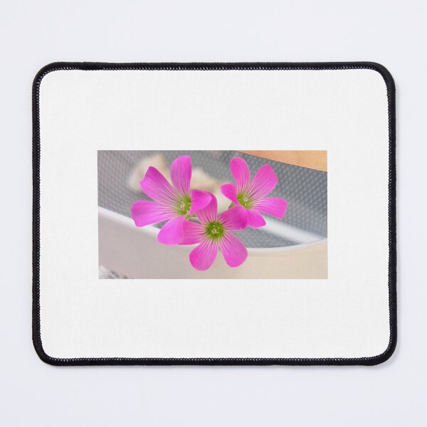 Item preview, Pink clover flower in white basket designed and sold by RaisingAWildling.